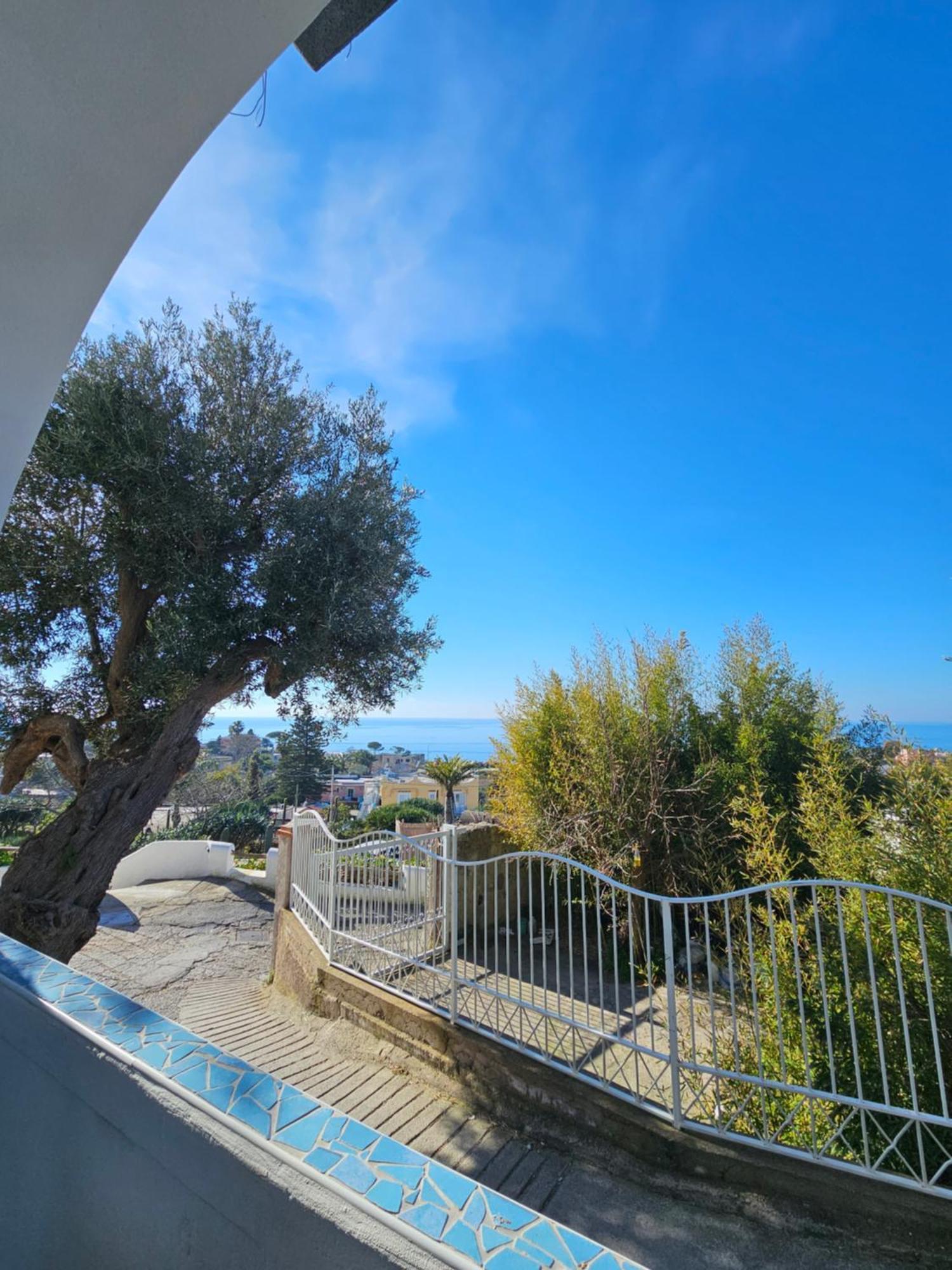 Residence Limoneto Ischia Forio  Exterior photo