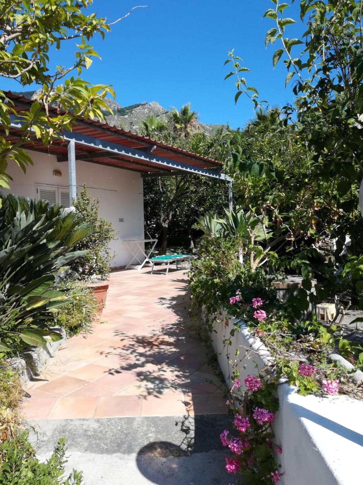Residence Limoneto Ischia Forio  Exterior photo