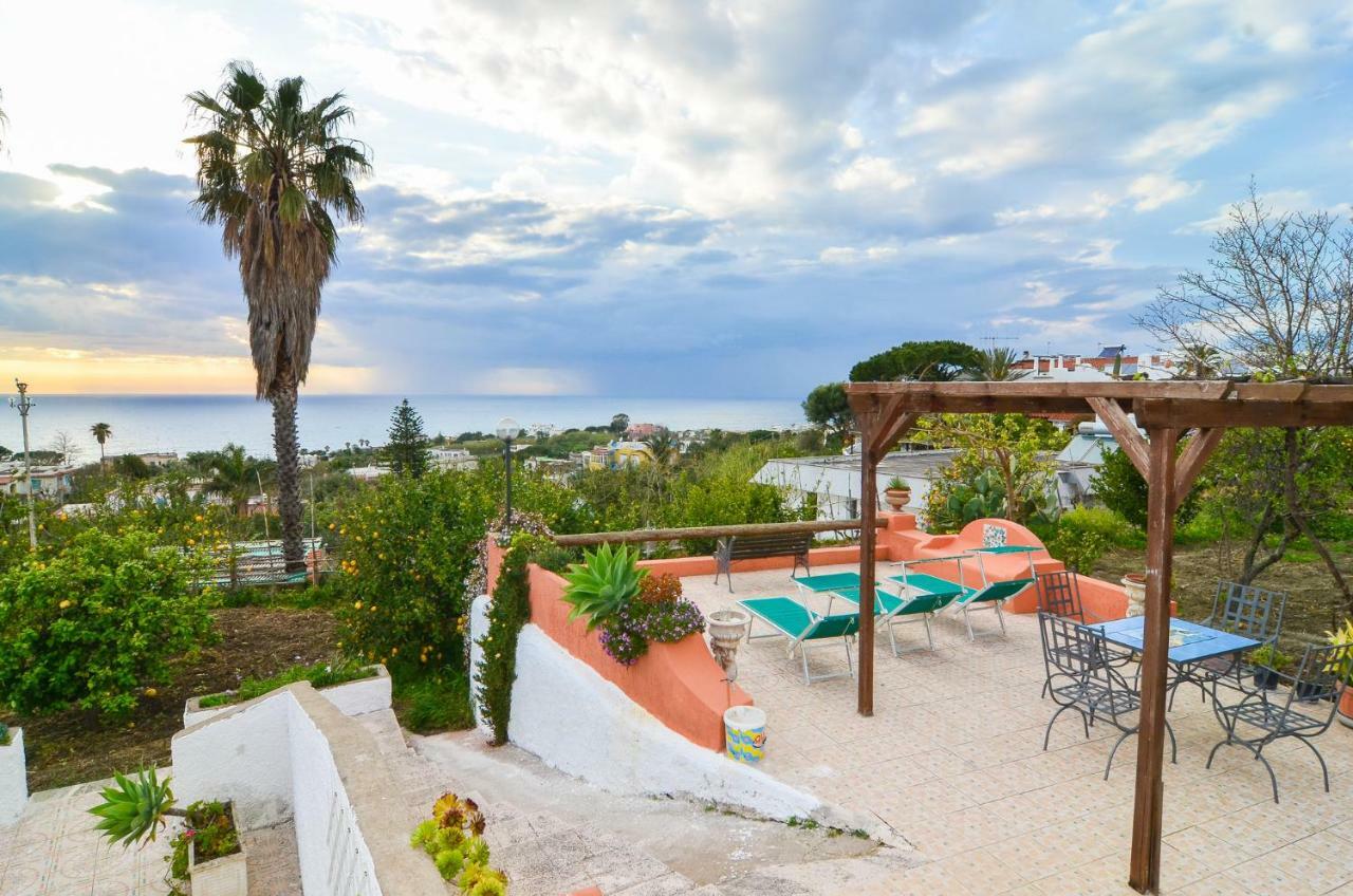 Residence Limoneto Ischia Forio  Exterior photo