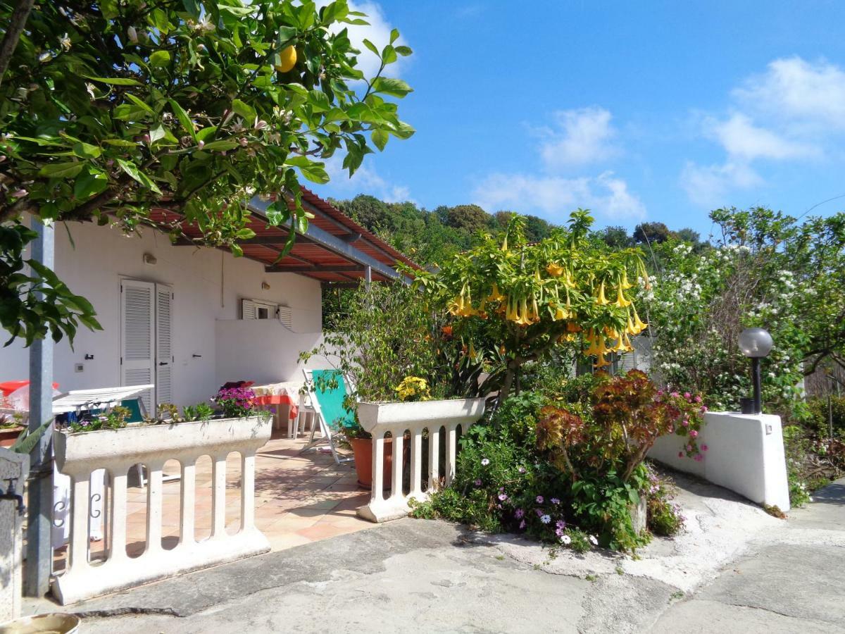 Residence Limoneto Ischia Forio  Exterior photo