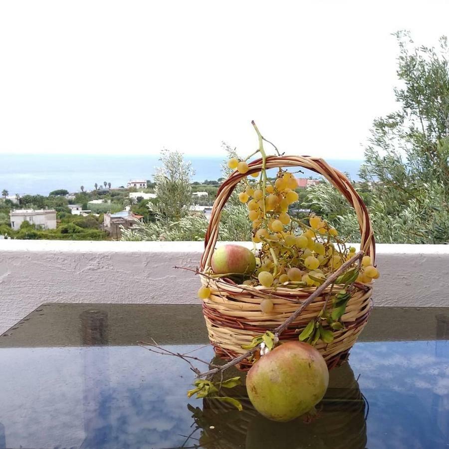 Residence Limoneto Ischia Forio  Exterior photo