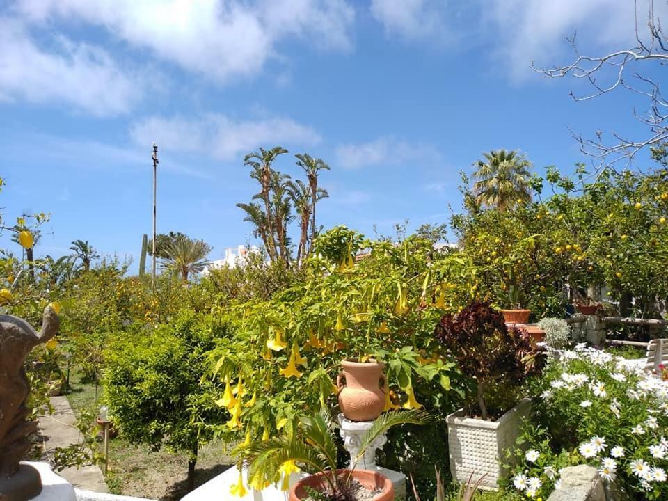 Residence Limoneto Ischia Forio  Exterior photo