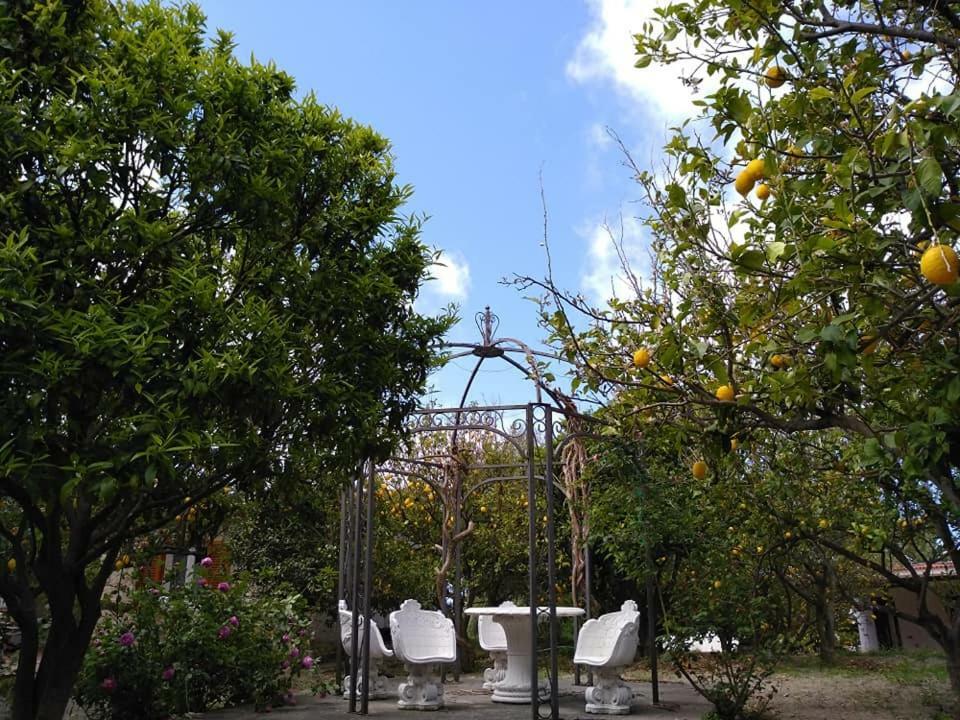 Residence Limoneto Ischia Forio  Exterior photo